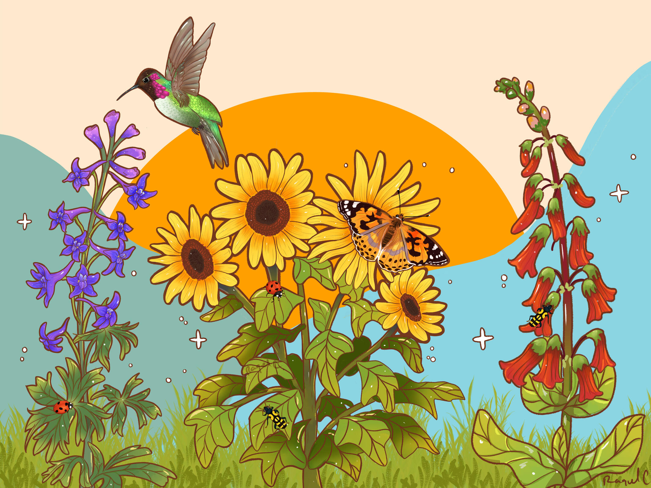 Life of Pollinators Life of Pollinators