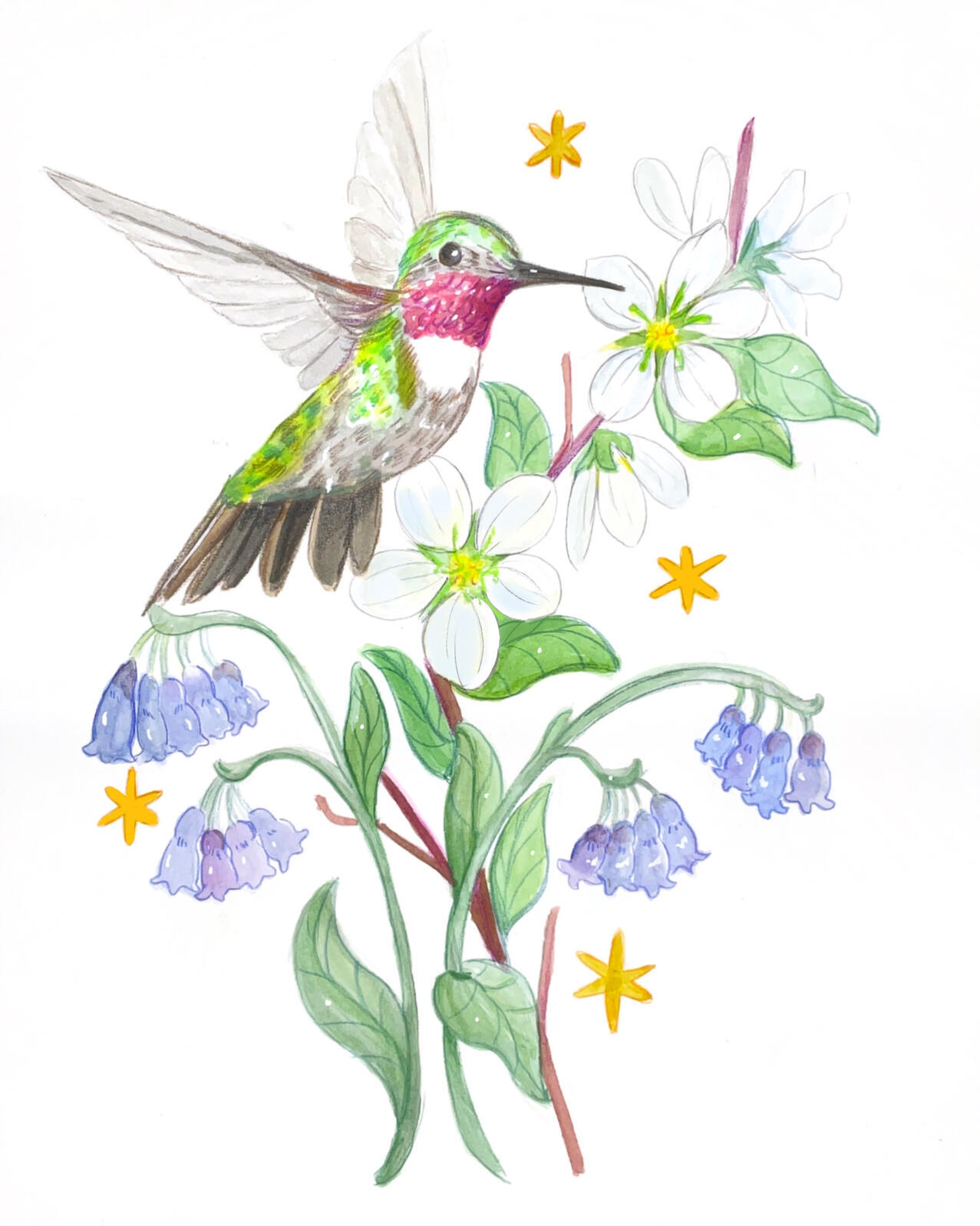 Spring