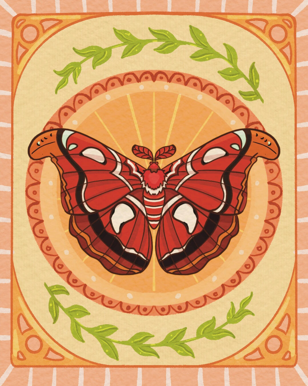 Atlas Moth Atlas Moth