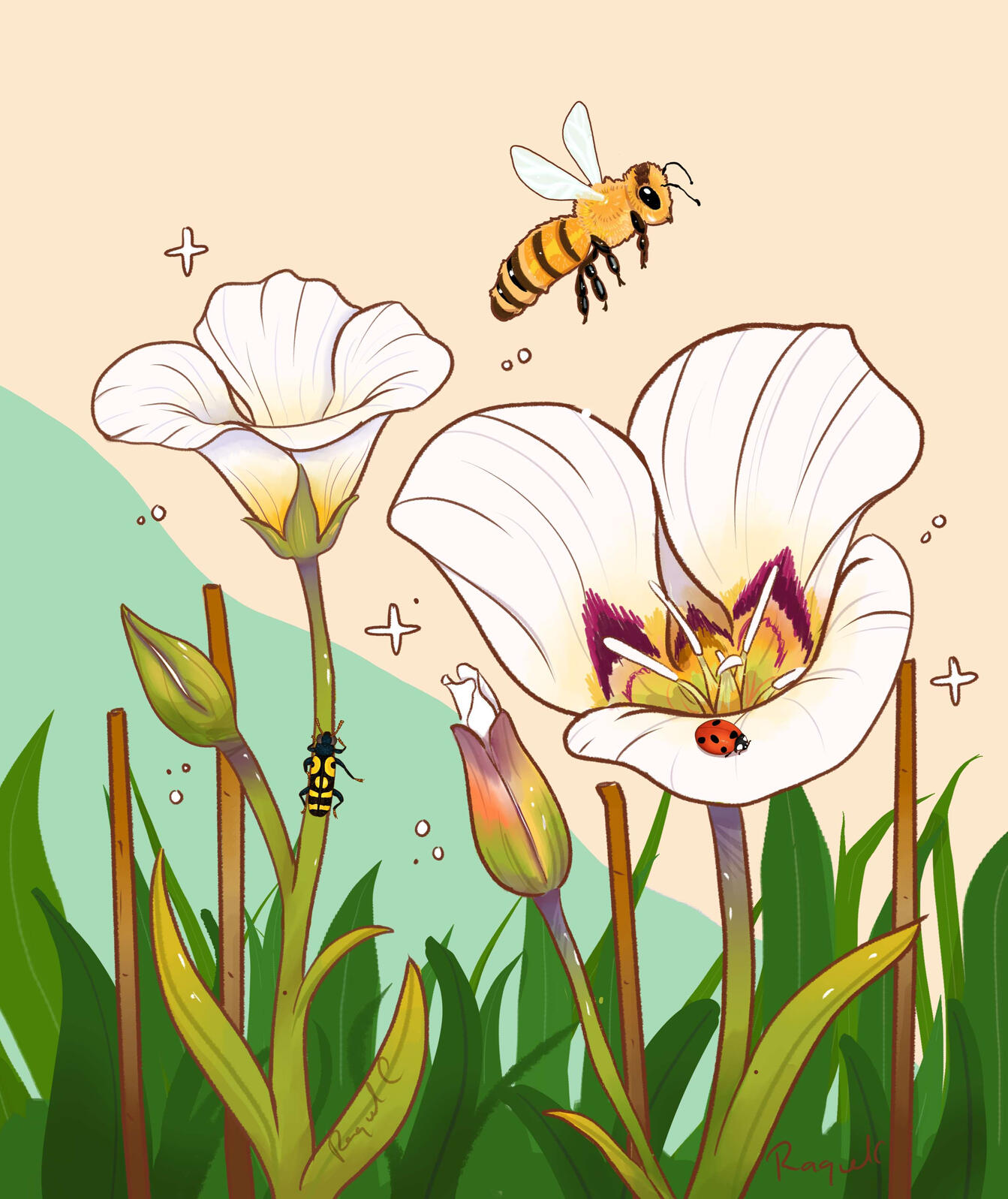Life of Pollinators