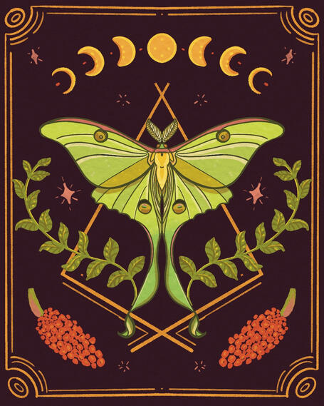 Luna Moth