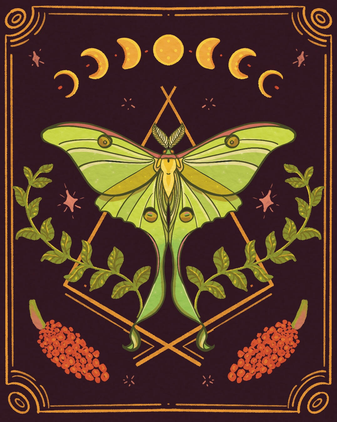 Luna Moth Luna Moth