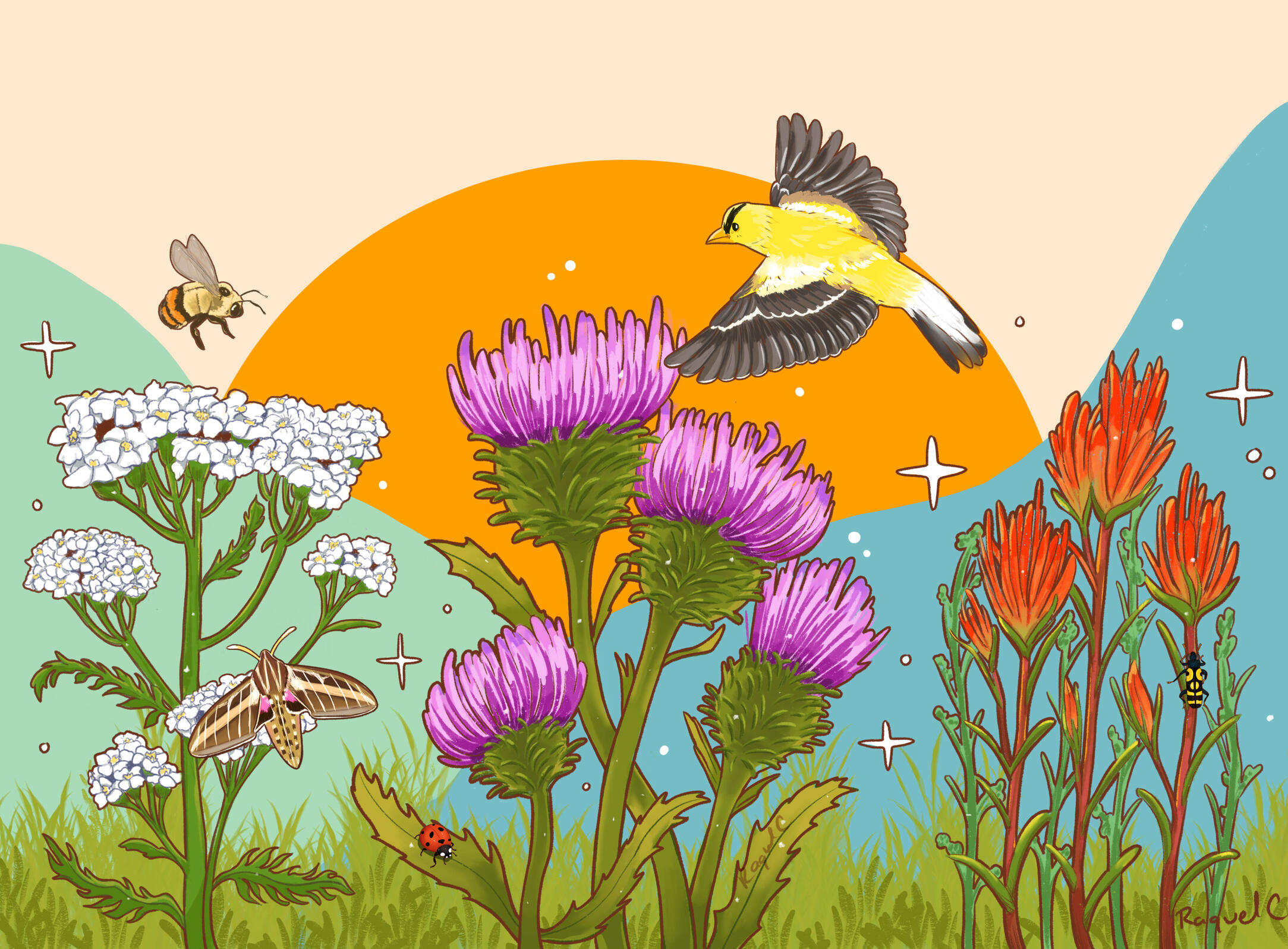 Life of Pollinators Life of Pollinators